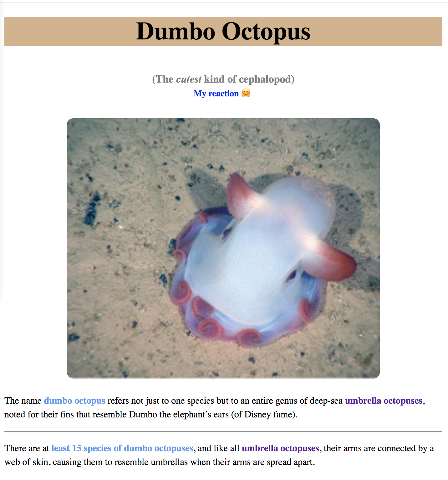 Dumbo Octopus project preview